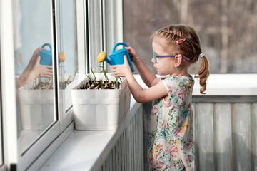 Little girl watering young seedlings on a windowsill with a blue watering can. Child in glasses and a floral dress cares for indoor plants, learning gardening skills and responsibility © Yulia Mihaylova