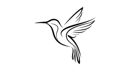 Fototapeta premium Hummingbird icon, outline, white background, vector illustration