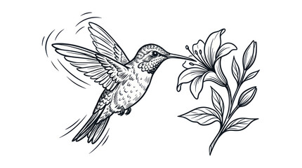 Hummingbird hovering near a lily flower in line art style © Yumna