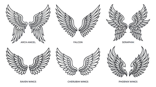 Ornate mythical and avian wings set for graphic design