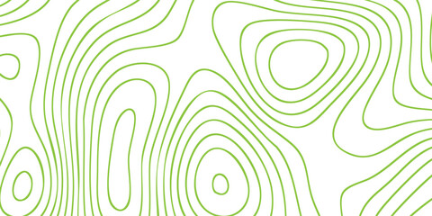 Green topographic contour lines on white background vector illustration for design and mapping concepts © Provir