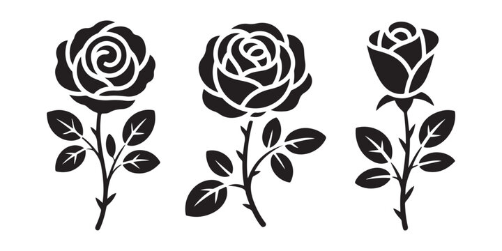 Black rose flower silhouettes with stems and leaves in different stages of bloom on transparency.