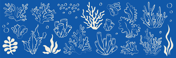 Hand-drawn underwater sea plants, coral, seaweed collection in line art doodle style for event decor, seaside vacation designs © Наталья Желяскова
