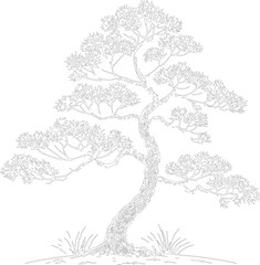 Fototapeta premium Elegant pine bonsai tree outline drawing showcases a winding trunk. Light grey line art depicts tiered clouds of pine needles. Vector design is ideal for coloring book pages.