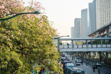 Pink blossom flower in Chatuchak city with transport road modern office building Bangkok Thailand © themorningglory