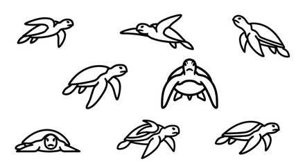 Hand Drawn Sea Turtle Line Art Collection Vector Set for Marine Design © matahari