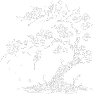 Detailed cherry blossom tree outline drawing showcases twisting branches and blooming flowers. Light grey line art depicts a sakura tree. Vector design is ideal for coloring book pages.