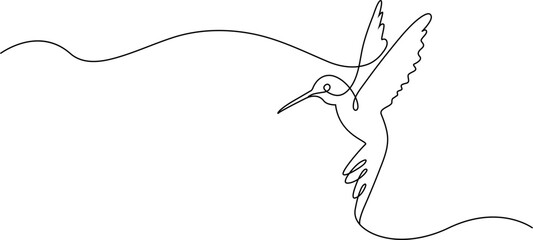 Continuous line drawing Minimalist hummingbird illustration, one line drawing, simple animal design, vector graphics © ANJALI