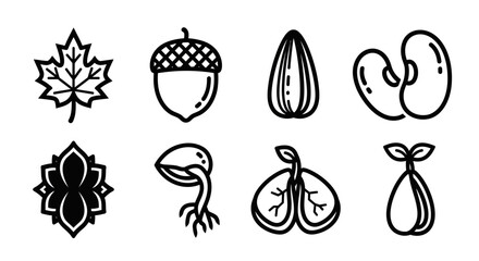 Diverse botanical seeds, nuts, and plant growth represented as minimalist line art icons © matahari