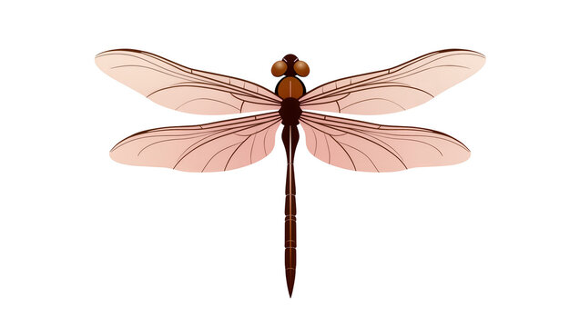 Isolated graceful minimalist brown dragonfly illustration with delicate pale pinkish wings design