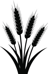 Fototapeta premium Black Vector Silhouette Botanical Graphic Illustration : A Cluster of Four Growing Wheat Stalks and Barley Ears Isolated on White Background