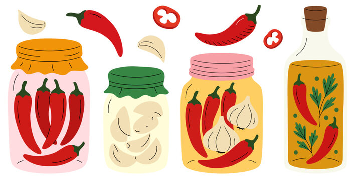 Set of homemade preserves in glass jars, pickled red hot chili peppers, garlic, and infused spicy oil, hand drawn vector illustration