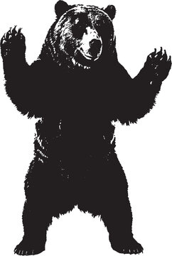 Black silhouette of a large grizzly bear standing on its hind legs in a classic upright pose isolated on transparent background, Vector