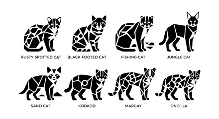 Wild Cat icon set, silhouette style, white background © Enamul