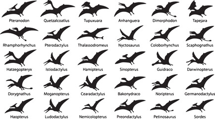 Prehistoric Pterosaur Silhouettes Collection: 30 Dinosaur Flying Reptile Vector Icons for Paleontology and Education © Shohel