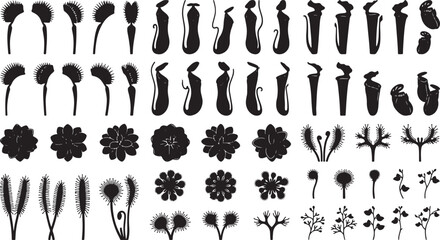 Carnivorous Plant Silhouettes Collection, Tropical Pitcher Plants, Venus Flytraps, Sundews, Botanical Vector Icons Set, Nature Elements © Abid