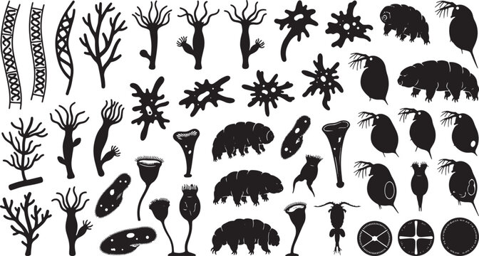 Microscopic Organisms Vector Set, Diverse Single-Celled Life Forms Collection, Scientific Illustration of Plankton and Bacteria Silhouettes, Educational Biology Graphics