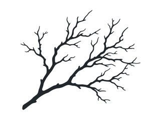 Fototapeta premium Silhouette of a bare tree branch against a white background.