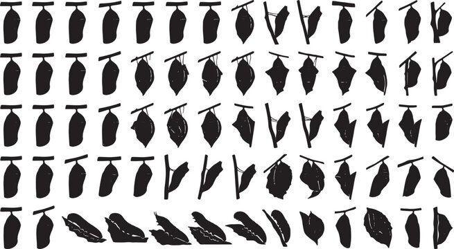 Butterfly Pupa Collection, Metamorphosis Stages Vector Icons, Insect Life Cycle Silhouettes, Nature Transformation Graphics