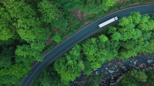 Aerial View of Sunny Spring Forest with Moving Truck