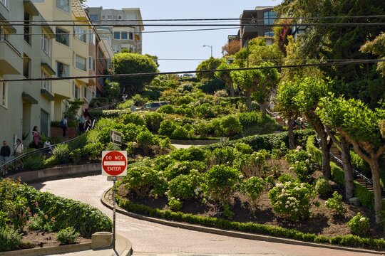 Landscaped curves and brick road on Lombard Street in San Francisco