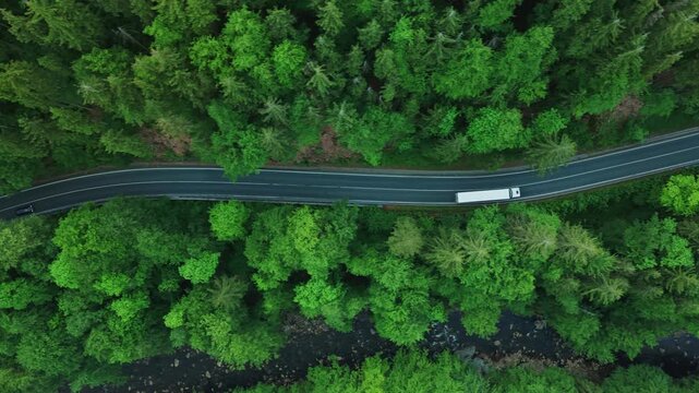 Aerial View of Sunny Spring Forest with Moving Truck