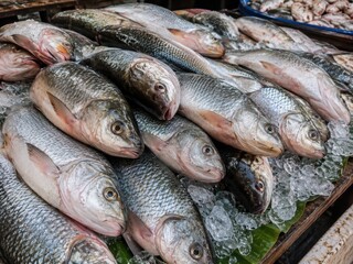 Obraz premium A high-angle close-up shot of fresh raw whole silver fish displayed on crushed ice and green banana leaves at a street market counter or fishmonger shop. The fish feature bright scales and clear eyes,