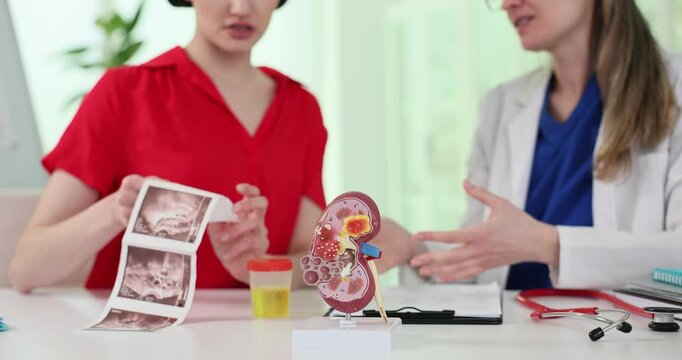 Kidney model and urine sample against doctor showing ultrasound images to patient. Physician consults woman about treatment in hospital slow motion