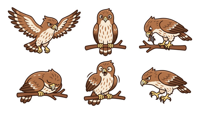 Brown Hawk Birds on Branches.