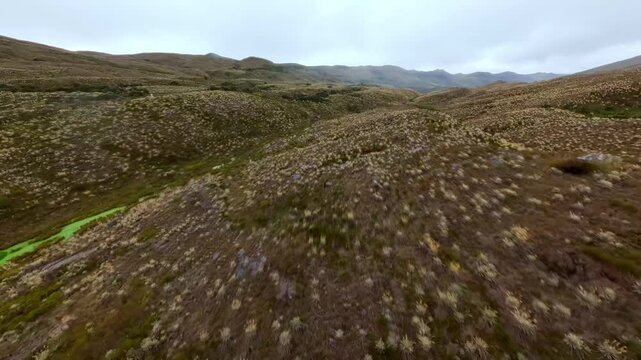 Sumapaz