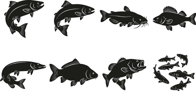 Black and white fish vector silhouettes set isolated on white background, freshwater fishing and aquatic life collection