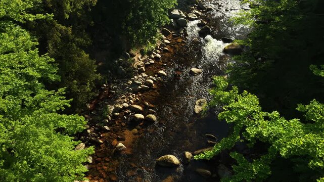 Beautiful Sunrise In Sunny Spring Forest with Mountain River . Sunlight Sunbeams Through Woods In Forest Landscape with Authentic Nature Sound