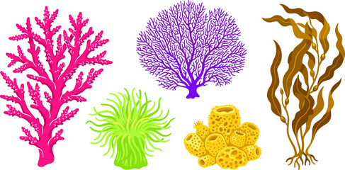Colorful Marine Life and Coral Reef Vector Illustration Set Featuring Sea Anemone Tube Sponge Seaweed Kelp and Branching Gorgonian Coral © Mdlutfar