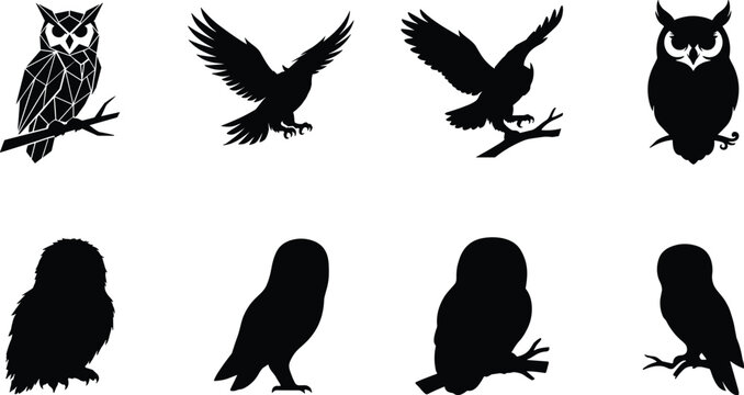 Set of owl silhouettes and vector illustrations isolated on white background, wild nocturnal birds graphic dt of owl silhouettes and vector illustratio