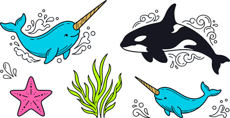 Cute Arctic Marine Wildlife Vector Graphic Set Featuring Narwhals Orca Killer Whale Pink Starfish Seaweed and Ocean Water Splash Elements © Mdlutfar