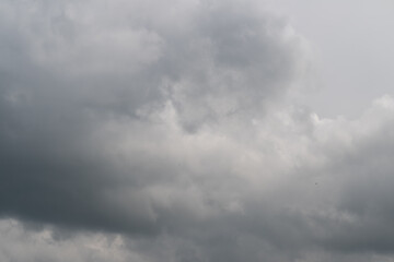 Obraz premium Somber sky evokes reflection. Gray horizon creates peaceful atmosphere. Subdued palette and tranquil atmosphere invite inner contemplation and peaceful serenity