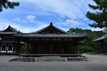 Fototapeta premium 奈良県 奈良市の唐招提寺