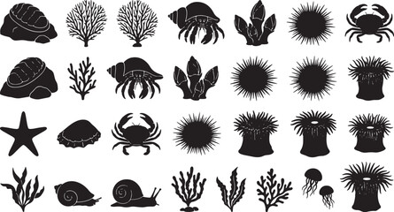 Marine Life Silhouettes: 30 Ocean Creatures and Plants Vector Icons Set, Nautical Sea Life Graphics for Coastal Designs © Mahfuzur