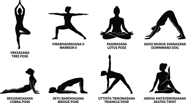 Yoga poses silhouettes set featuring common asanas including tree pose warrior lotus downward dog cobra bridge triangle and seated twist..eps,
