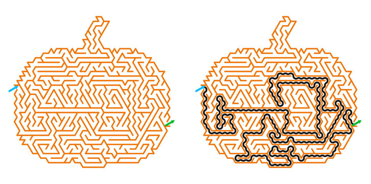 Pumpkin shaped Halloween maze printable sheet including answer key route for preschool logic task.