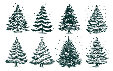 Obraz premium Christmas green trees set on white 