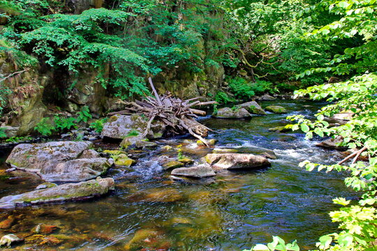 Das Bodetal bei Thale