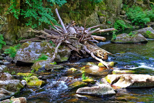 Das Bodetal bei Thale