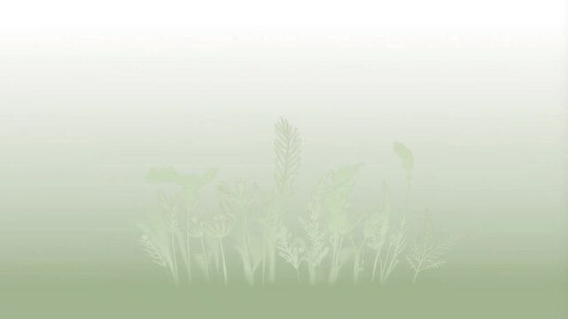 Soft gradient of sage green to white with delicate botanical silhouette, featuring grass and floral elements