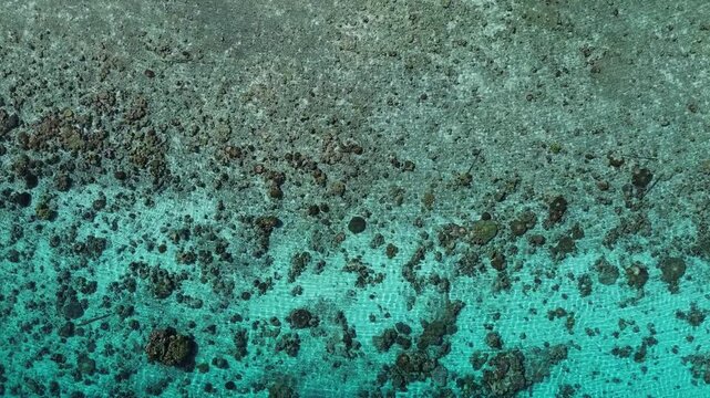 Beautiful Beach in Oslob, Cebuc