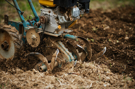 Motor cultivator cultivating fresh soil in vegetable garden.  Close up of a motor cultivator working through fresh garden soil during spring land preparation. Gardening equipment and agriculture conce