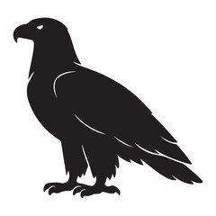 Fototapeta premium Eagle standing silhouette isolated on white background vector graphic illustration of wild predatory bird in profile pose.