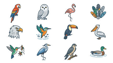 Obraz premium Colorful illustrations of various bird species.
