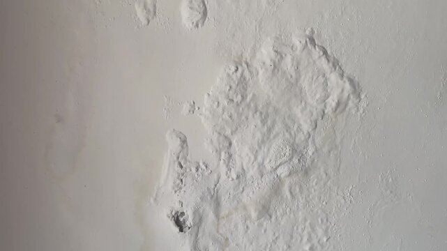 Deteriorating interior wall with dampness moldy patches and peeling paint due to moisture damage in residential living space