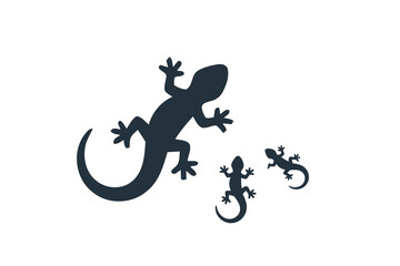 Obraz premium Set of lizard reptile silhouettes in different sizes for nature and biology design with wildlife silhouette creature illustration